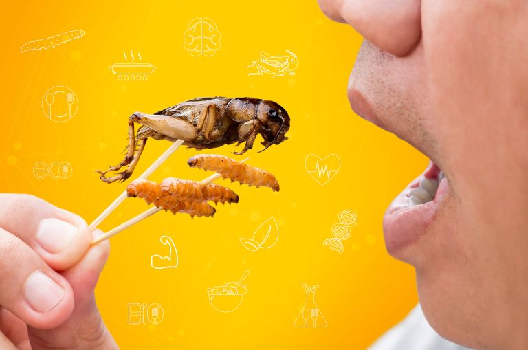 Food,Insects:,Man,Eating,Bamboo,Worms,And,Crickets,Insect,Deep-fried