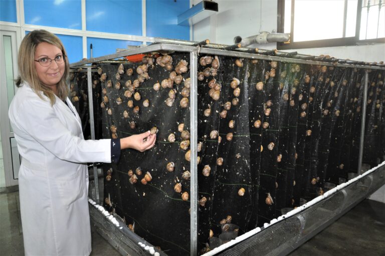 Andalucías hvite perler