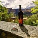 Nattlig druehøsting på Descalzos Viejos – trolig spanias mest spektakulœre vingård