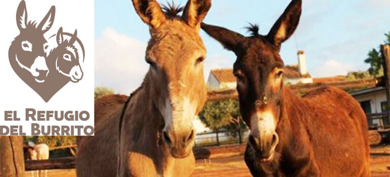 0c4bce8f463e422cc133ff0fa8986142