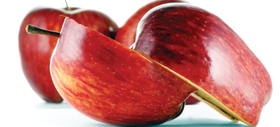 26273fe08bbcb5e7ddf691cfa8a891b0