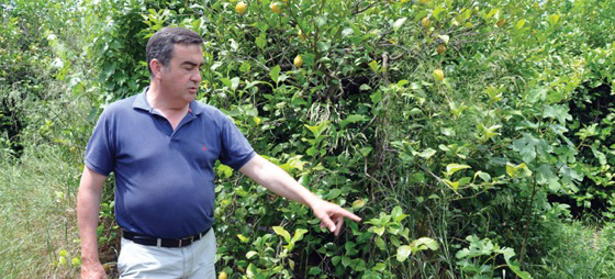 3bd5dda8606fac1e5e356fbcf81c716a