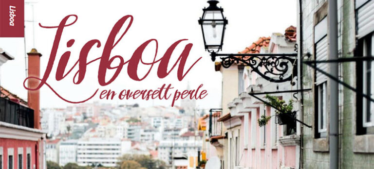 3ff5f8ac4d272e4d74291a0042fcef8d