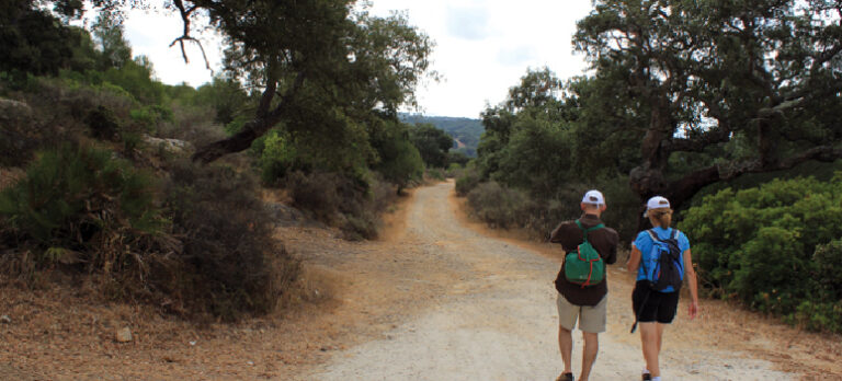 45810a81b95ccdc3b5b048d45d4bff0e