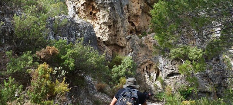 4beb72a5ad1e1695c7e7fe461a55739f