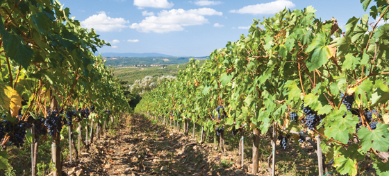 62f7f897fc8fc67b94913001ffd187d6