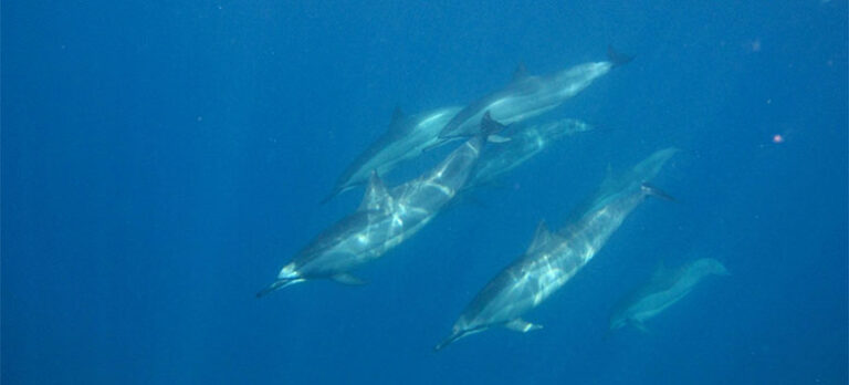 6e880fc57f7093c5fc264539104729a7