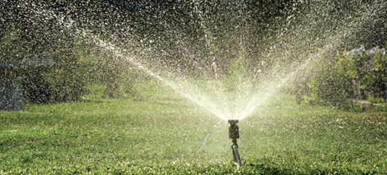 747a75c66635a87e07c46099e219e43a