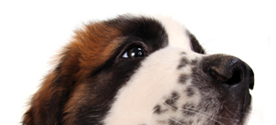 7a989564b3ffbb54f11662e8a68036fe