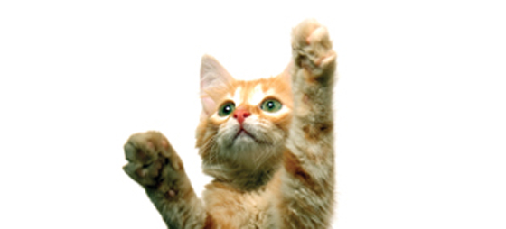 83579a605cc0877ec57358d3a10e5d00