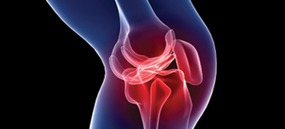 84f3f72e9a13d93c09fa9a2d4f569125