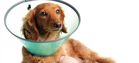 88ceb78c978de54cf0d2fb798c8ffe20