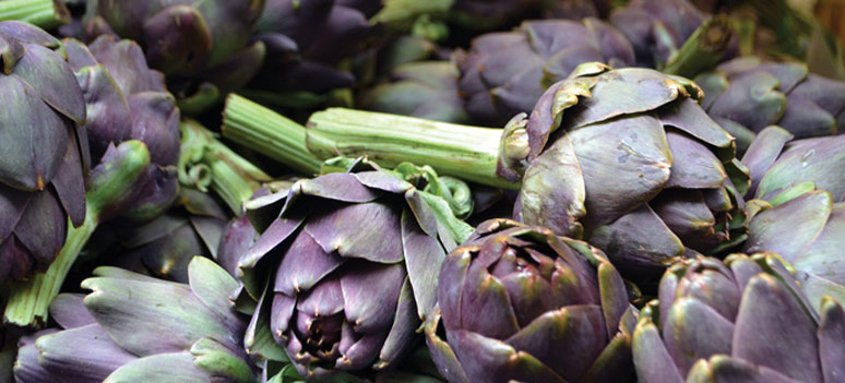 Artiskokker2