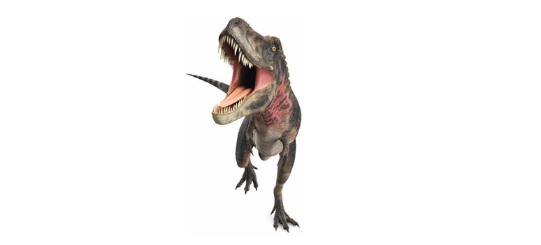 Dino