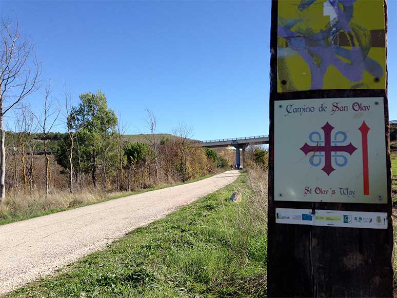 El Camino de San Olav5