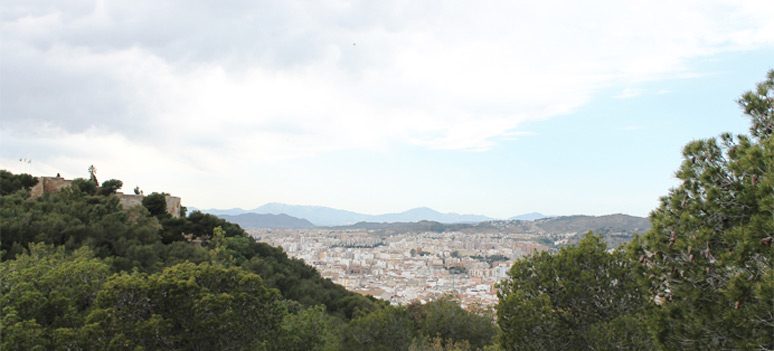 IMG 0638