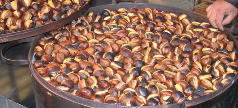 Kastanjer