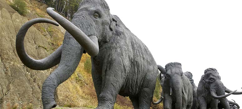 Mammut ruten og andre utdødde dyreruter