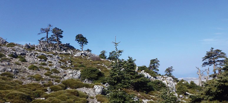 P1070856