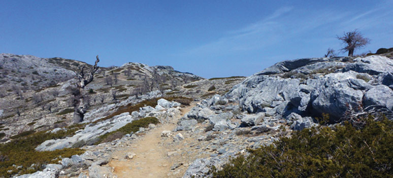 P1070878