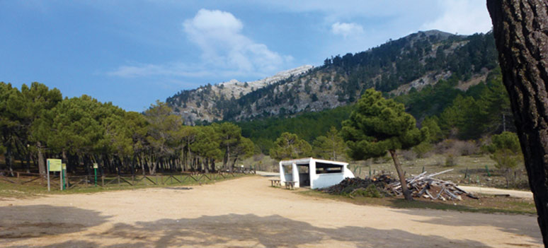 P1070905