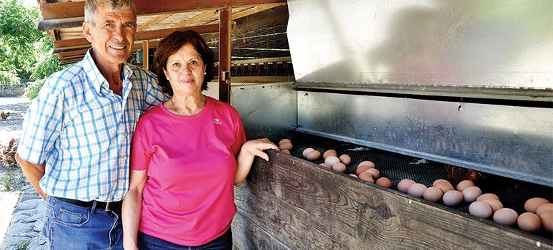 Sabor a Malaga Egg og Pecannøtter