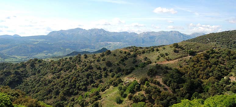 Senda Litoral og Sierra Bermeja