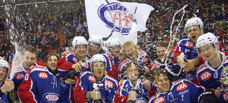 Seriegull-