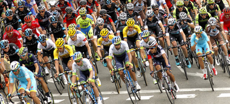 WEB shutterstock 267367616-Vueltaenjpg