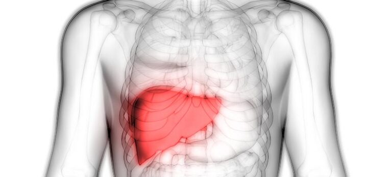 b988ee68c246397d1d52f4cee5277cba