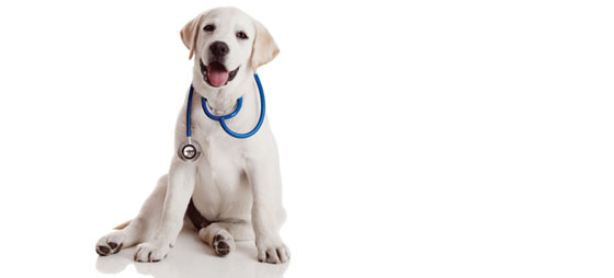 ba1e9f82e92b7d9f3bb7b40381d94573