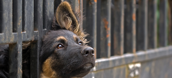 be0a8502c2dbee7e4517c3a15899c164