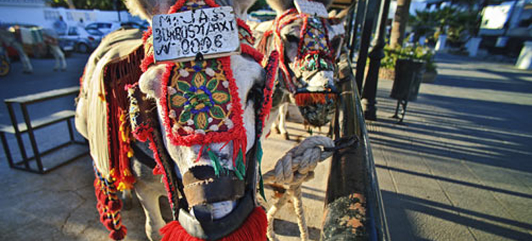 burro taxi mijas 