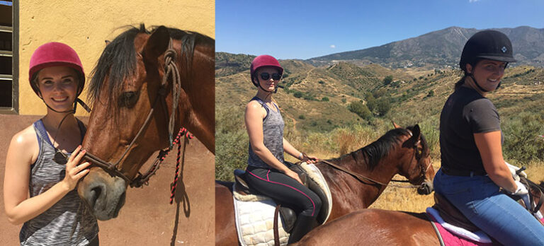 cee0f45ef929663332ae36bfd1bb2d63