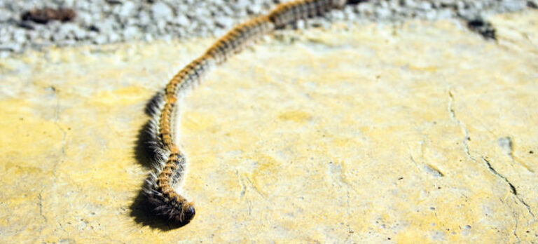 d3be9dab5b3774863a8125eb4361b482