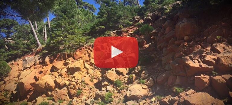 d458987f58576ae4c2aeb492958610fd