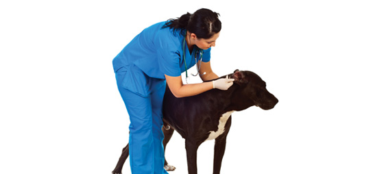 d7ad7bd1af1146fc97fa548ebfbbd9b6