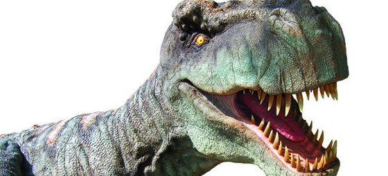 d88b6e8a85f45a45f8cf74b3ea8f3272