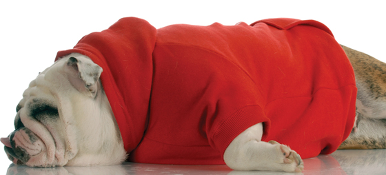 f664893f5fba03fc60037d1a5554578f