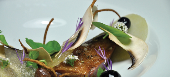 f6dc495cf1a14179c192416ccb8b498e