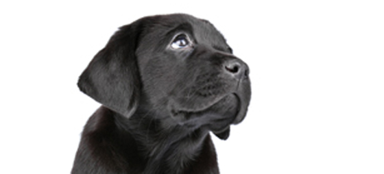 fbab5f5a1710b28ef035cb1b6f7eede5