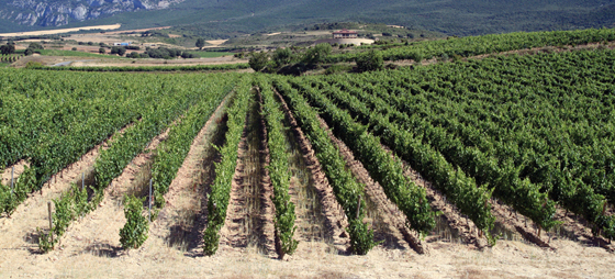 fbc0fb43be046b6c3c5fc39f9f8535dc