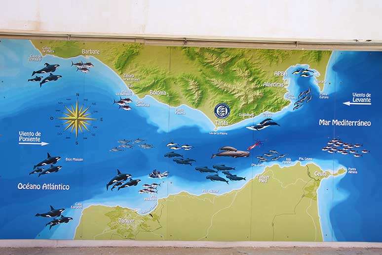 kort tarifa