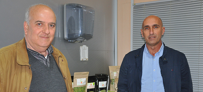 ps moringa2