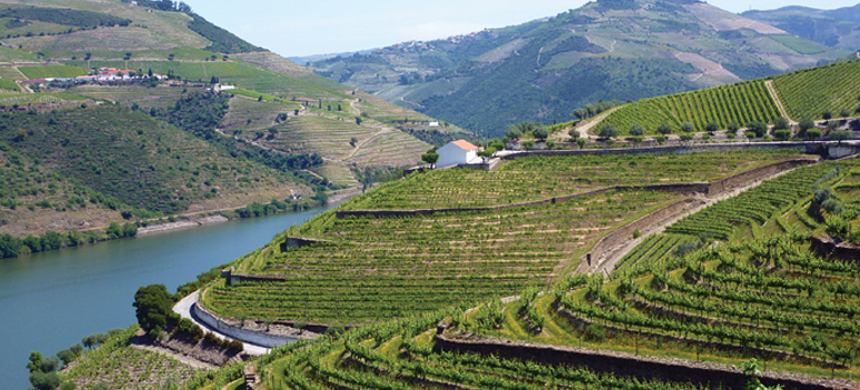 shutterstock 104780450