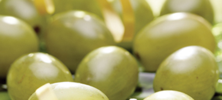 shutterstock 120222436