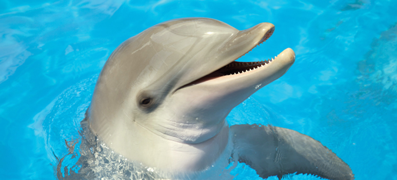 shutterstock 133313075