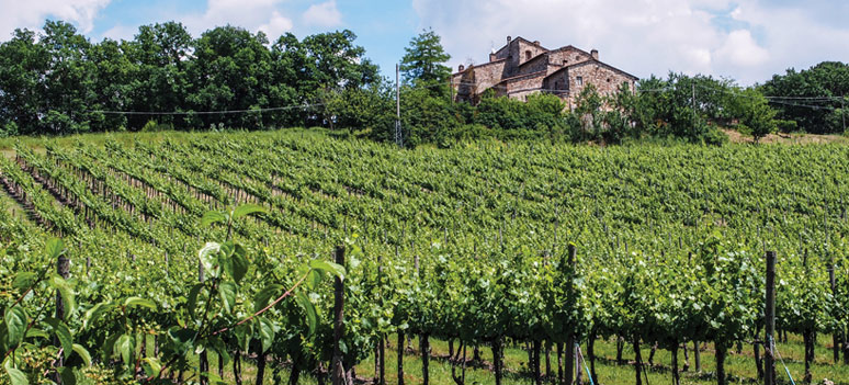 shutterstock 148867094