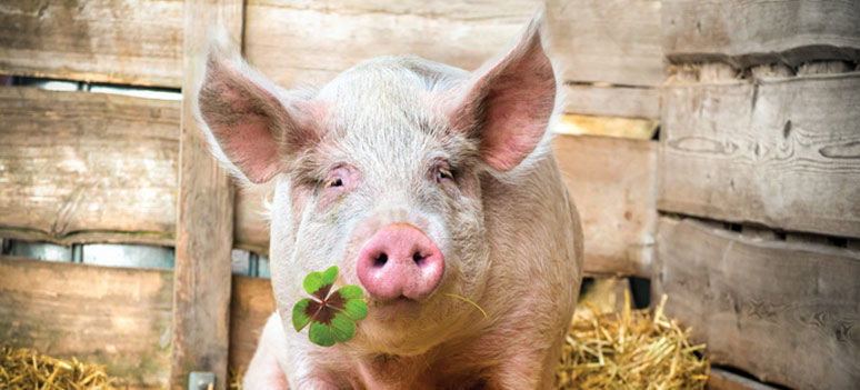 shutterstock 167867903