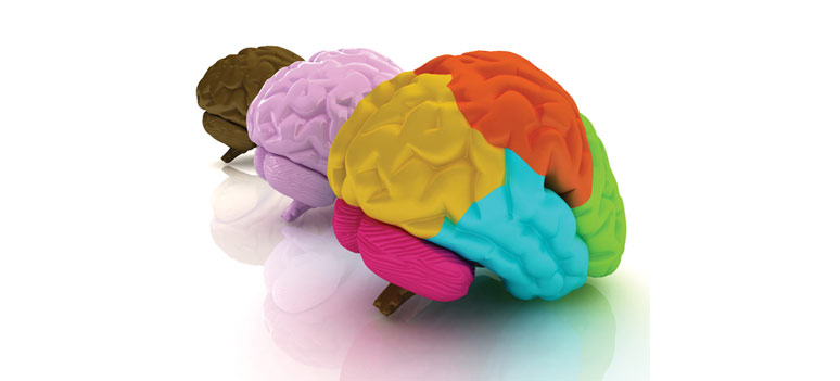 shutterstock 169340288